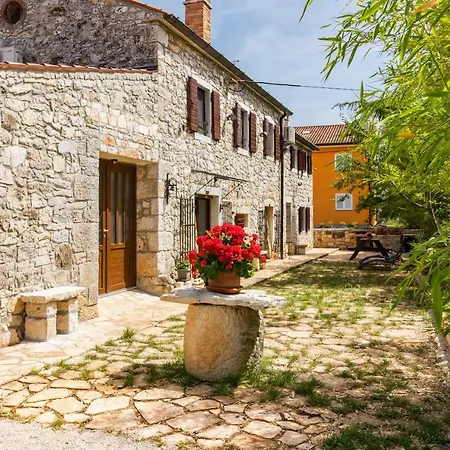 Old Istrian Martina *