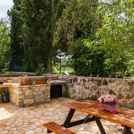 Old Istrian Martina *