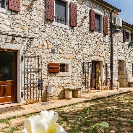 Old Istrian Martina *